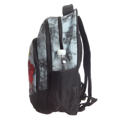 Ученическа раница с несесер и чанта за бутилка Glossy Bird, Размери 41х26х20 см, Дизайн 1